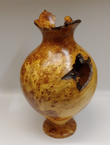 JW-203 Aspen Burl Hollowed Vessel 17x10 $1000 at Hunter Wolff Gallery